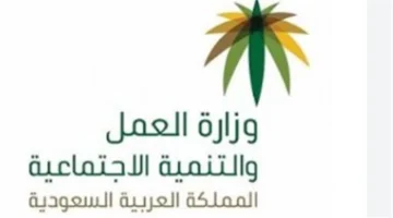 تضارب دعم.. زيارة الباحث الاجتماعي تكشف بيانات المستفيدين المغلوطة وتوقف الدعم فورًا